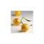 Pavoni Cédric Grolet 2-Part Silicone Baking Mold Freezing Mould,"Citron” (Lemon)