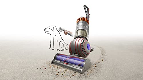 Dyson Ball Animal 3 Extra Upright Vacuum - Copper/Silver
