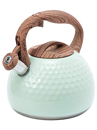 beiyongjing Tea Kettle Best 2.8 Liter Modern Stainless Steel Whistling Teapot -Tea Pot for Stove Top (White/Blue/Green) (Green)