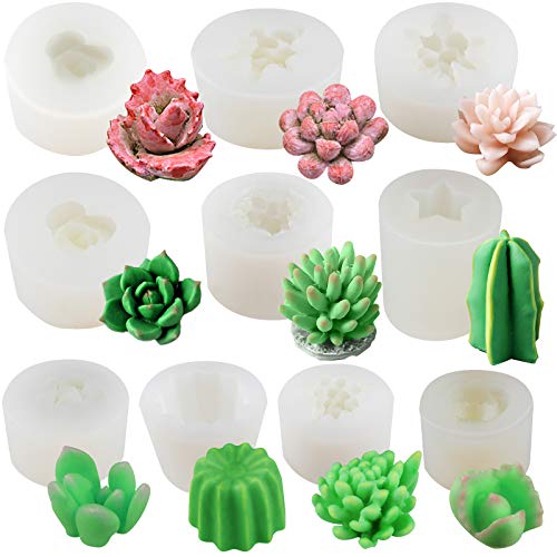 Funshowcase Cactus and Succulent Plant Silicone Molds Set for Epoxy Resin Soap Candle Wax Polymer Clay Concrete Plaster Fondant Cake Decor Chocolate Isomalt 10-Count Larger
