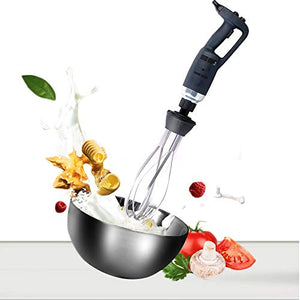 Zz Pro Commercial Heavy-Duty Big Stix Electric 500W Immersion Blender With 10-Inch Whisk(LW500W9)