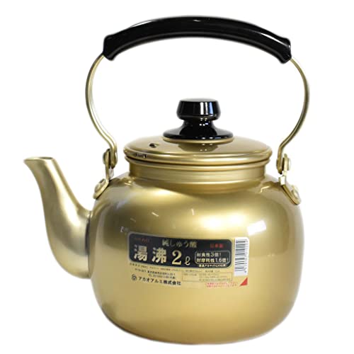 Japanese Traditional Kettle