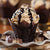 Hoffmaster 611104 Tulip Cup Cupcake Wrapper/Baking Cup, 2-1/4" Diameter x 4" Height, Large, Chocolate (10 Packs of 250)