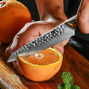 Kitchen Knife Sets, 5PCS Damascus Knife set Japanese Forged VG10 Damascus Steel Kitchen Knife Set Santoku Slicing Cleaver Fruit Knives Cooking Tools (Color : Knife Set)