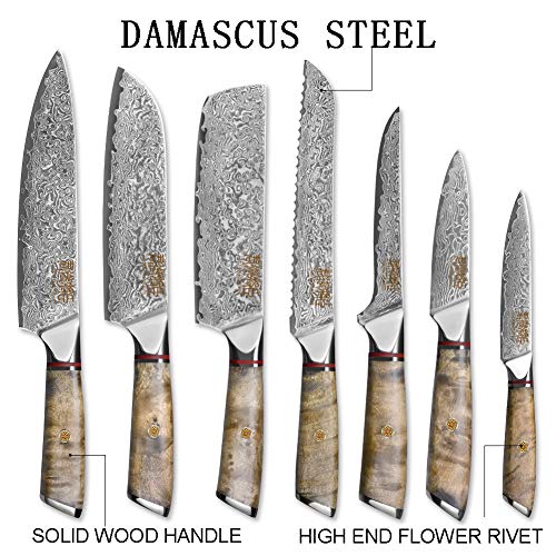 Damascus Kitchen Knife Set, SHAN ZU 7-Piece Professional Knife Sets for  Chefs, Japanese AUS-10V Super Steel With G10 Handle Knife Block Set, GYO