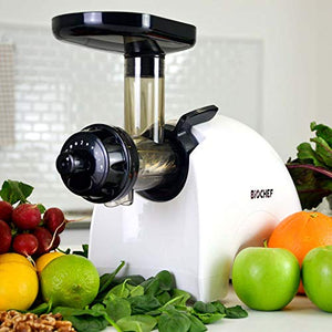 BioChef Gemini Twin Gear Slow Masticating Juicer - Cold Press Juicer Extractor for Fruit and Vegetables | BPA Free | Quiet and Easy to Clean (White)
