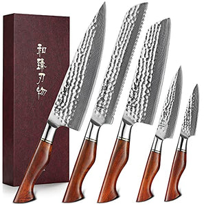 HEZHEN Kitchen Knife Set- 5PC,Sharp Pro Boxed Knives Sets, Premium Powder Steel Forged Damascus Knife Set, Natural Rosewood Handle, Home Cooking Or Restauran- Master Hammered Finish Series