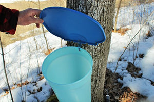 Deluxe Maple Tree Tapping Kit (3) Taps with Hooks (3) 3 Gallon Sap Buckets with Lids, Drill Bit, (2) 1-Quart Sap Syrup Filters, Recipe Cards, 80 Page Guide to Maple Tapping Book