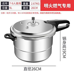 ZLDGYG Polished Aluminum Pressure Cooker/Canner Cookware, 16-Quart, Silver