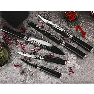 YOUSUNLONG Knife Block Sets 5pcs Kitchen Knives Set - Japanese AUS8 Steel Black Titanium - Natural Fraxinus Americana Holder - Natural Blackwood Handle with Gift Box
